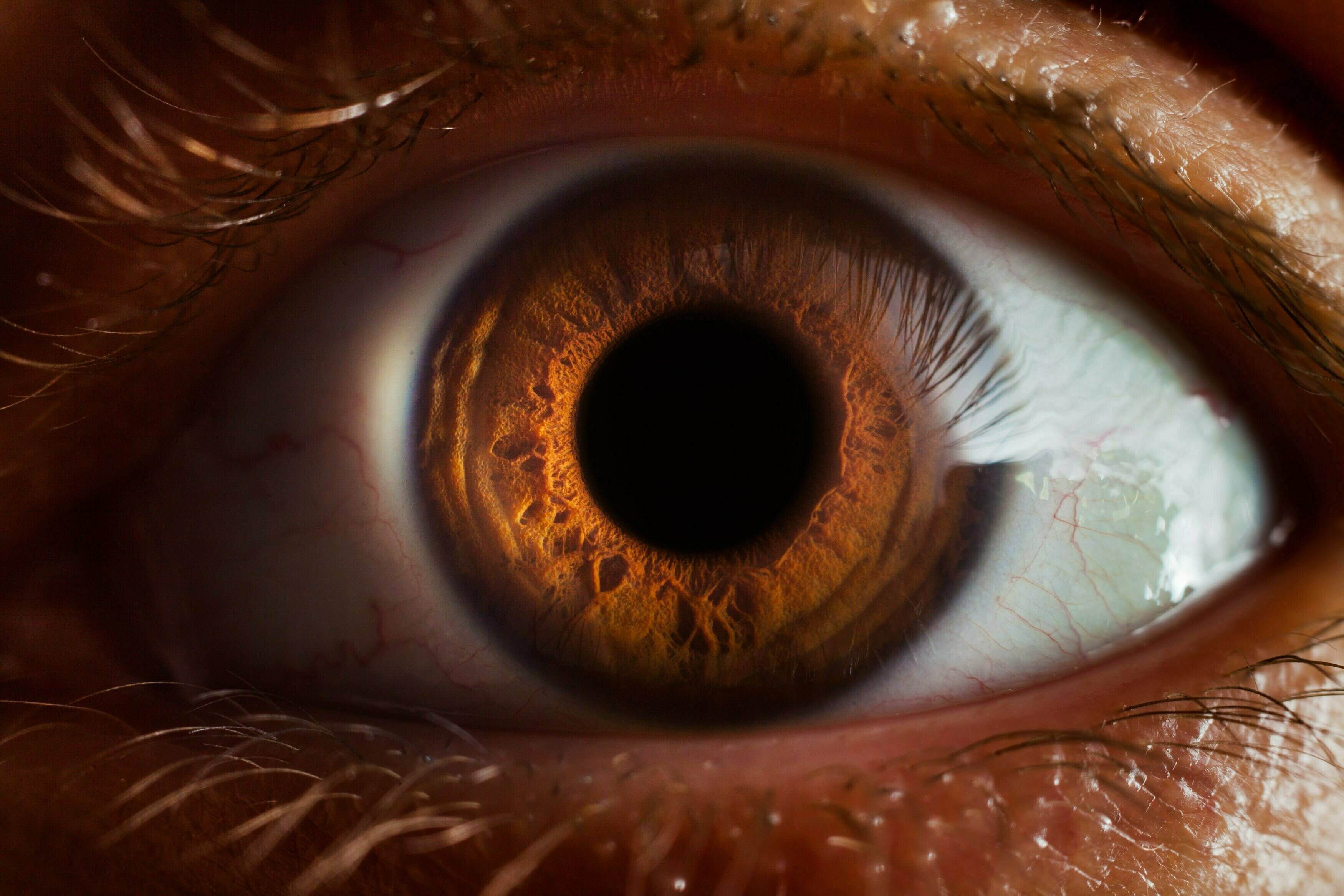 Up close image of a human eye