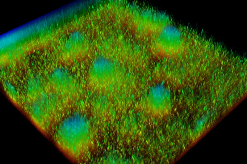 Microscopic view of a textured surface with clusters of bright green and teal particles on a darker green and orange background.